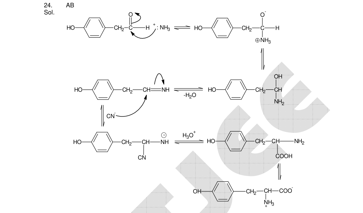 Chemistry diagram for: See image