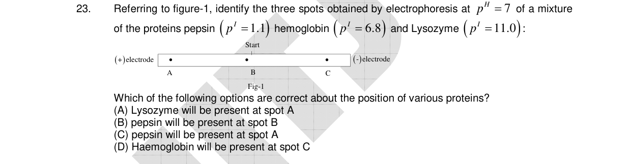 Chemistry diagram for: See image