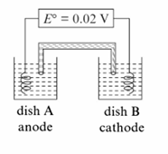 Chemistry diagram for: How long will it take to produce 0.10 mole of HNO2 by this reaction if a current of 10 A passes through the cell?
