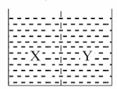 Chemistry diagram for: solution (side X) on reaction with K4[Fe(CN)6] (side Y) in aqueous solution gives blue colour. These are separated by a 